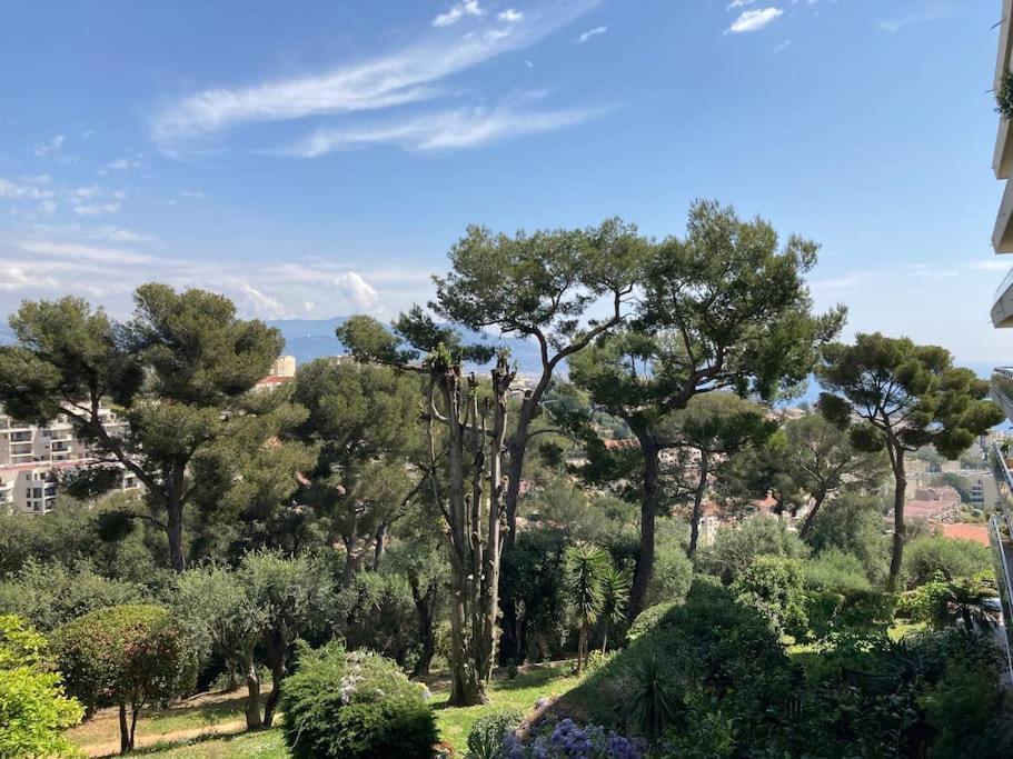 Appartement Terrasse Nice , Chambre , La Piscine Dış mekan fotoğraf